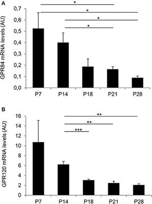 Expression of the Fatty Acid Receptors GPR84 and GPR120 and Cytodifferentiation of Epithelial Cells in the Gastric Mucosa of Mouse Pups in the Course of Dietary Transition